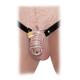 Кольцо верности Fetish Fantasy Extreme Extreme Chastity Belt с фиксацией головки с поясом