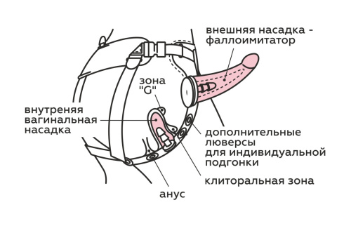 531f72f7-ceac-11ef-838a-cfb843d399f3_f85240d8-dfda-11ef-838f-8d54e39785a6